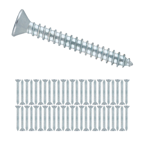Paq. 50 pijas para lámina cabeza plana #8 x 1-1/4