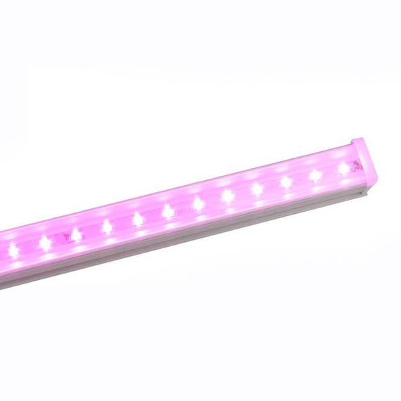 LAMPARA 96 LEDs FUCSIA, 14 WATTS MEGALUZ TIANLAI   T8X2C10F - Hergui Musical