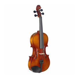 Violín 3/4 de arce con estuche blando de forma estándar, STAGG  VN-3/4-L - Hergui Musical