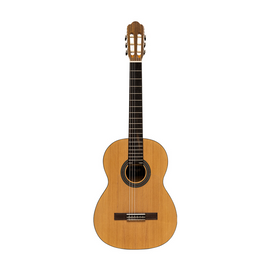 GUITARRA ACUSTICA FLAMENCA STAGG DE MADERA HIGH GLOSS CON CUERDAS SAVAREZ      STAGG     ALICANTE-F - Hergui Musical