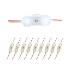 PAQ. 10 PZAS. DE MODULO 2 LEDS SAMSUNG SMD2835 1W BLANCO FRIO 6000K EXTERIOR  WINLED   WMO-019(10) - Hergui Musical