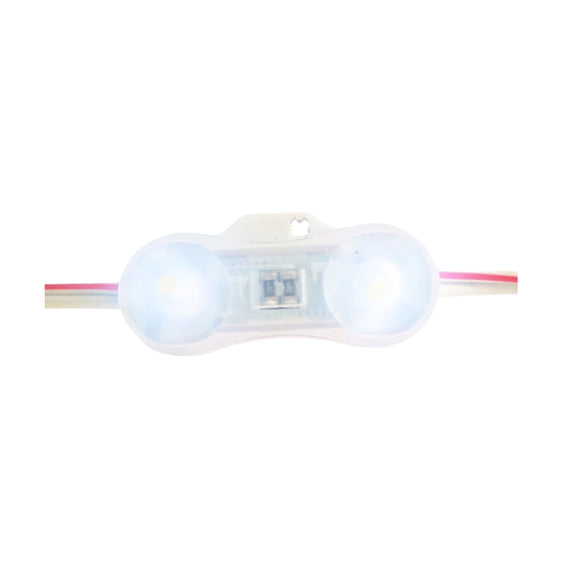 MODULO 2 LEDS SAMSUNG SMD2835 1W BLANCO FRIO 6000K EXTERIOR  WINLED   WMO-019 - Hergui Musical