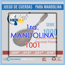 CUERDA 1RA P/MANDOLINA SELENE 1001 - herguimusical