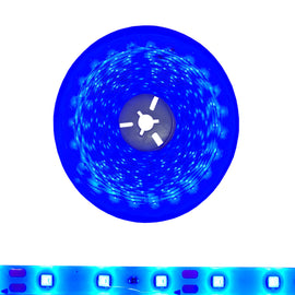 TIRA DE LEDS 2835 COLOR AZUL 5m EXTERIOR  WICKED   2835/BLUE - herguimusical