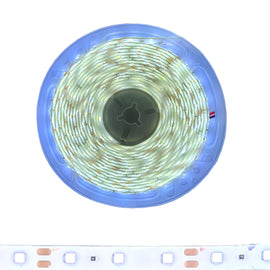 TIRA DE LEDS 5630 COLOR BLANCA 5m EXTERIOR  WICKED   5630/W - herguimusical