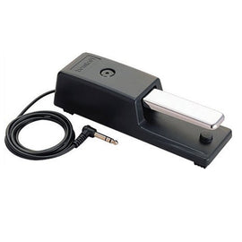 PEDAL SUSTAIN  (DAMPER PEDAL) CON UNA PLACA DE GOMA ANTIDESLIZANTE Y CABLE EXTENDIDO 2.2m  ROLAND   DP-10 - herguimusical