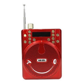 Bocina de Bluetooth, reproductor USB y FM  LINK BITS   RFR-234 - Hergui Musical